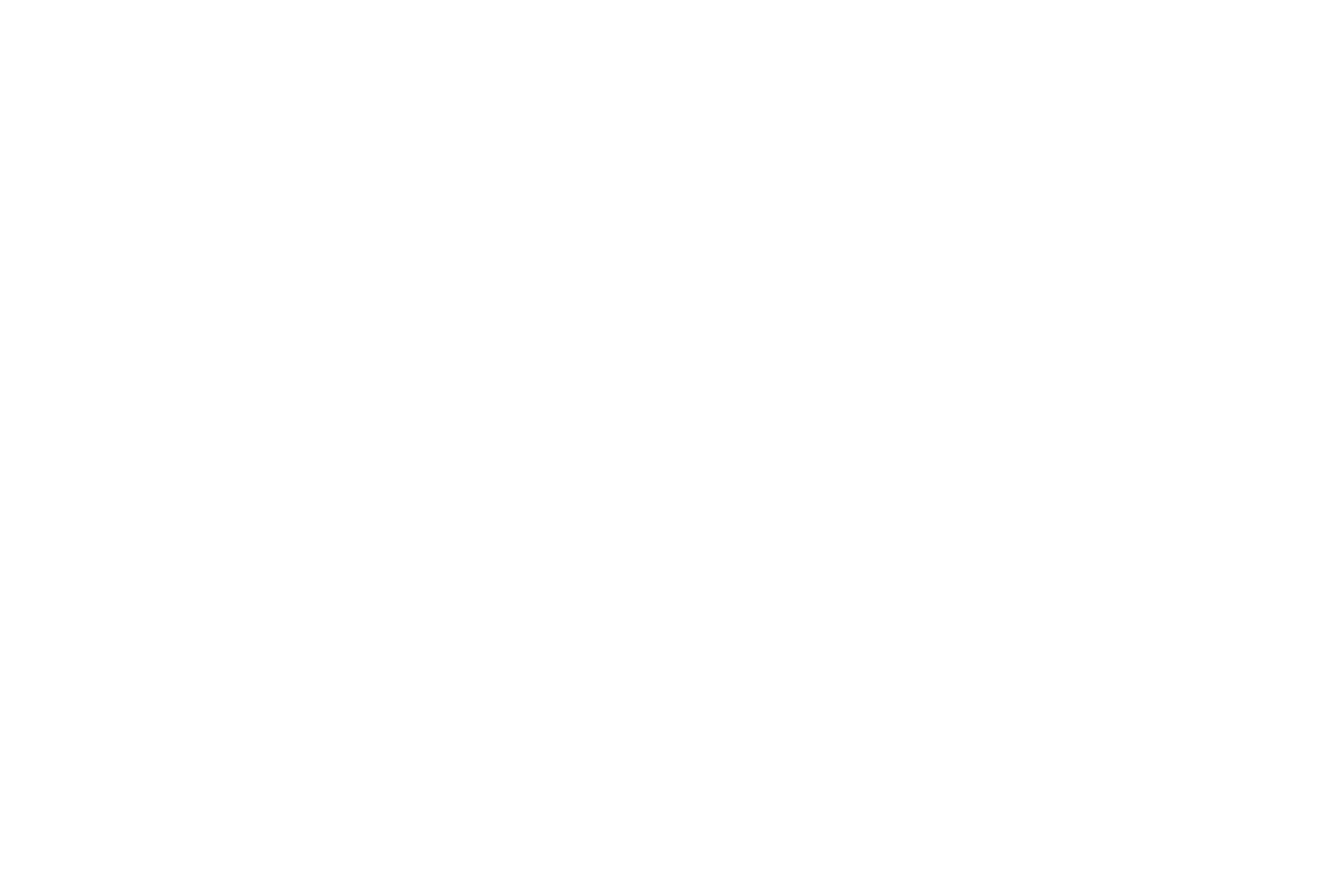 LIBURN AUDIT